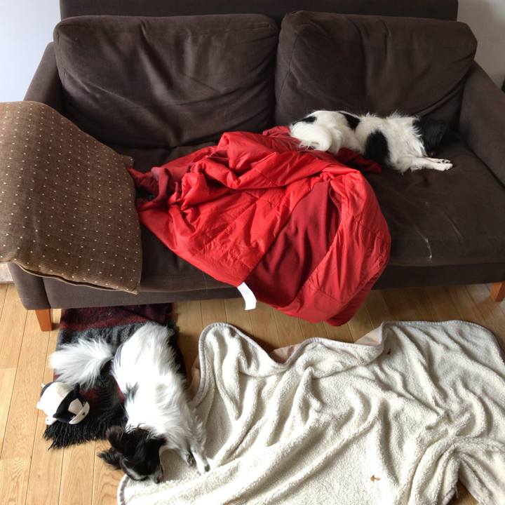 Cf1574f9 3c7a 4243 895f 96590b3313fa 1510818784387