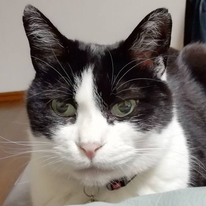 Cf157c80 f583 4823 b99f 4dcb82402dad 1556184240147