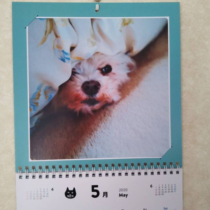 Cf159b5d 5757 41b4 92e5 2a0e5ff61aee 1588386377704