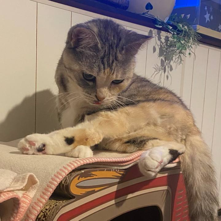 Cf15acfe c588 4cc5 bb9d f55d567c149a 1639235535492