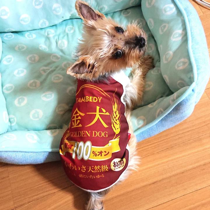 Cf15b5d6 85e0 44b3 be9d f11869c5c544 1621458958134