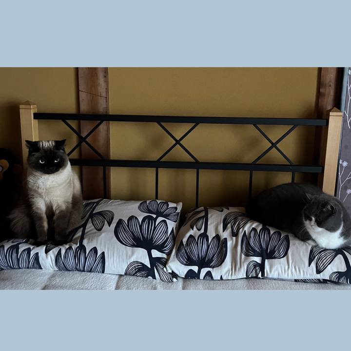 Cf15fdb0 70a6 4848 8f5b e310da75e004 1647646686330