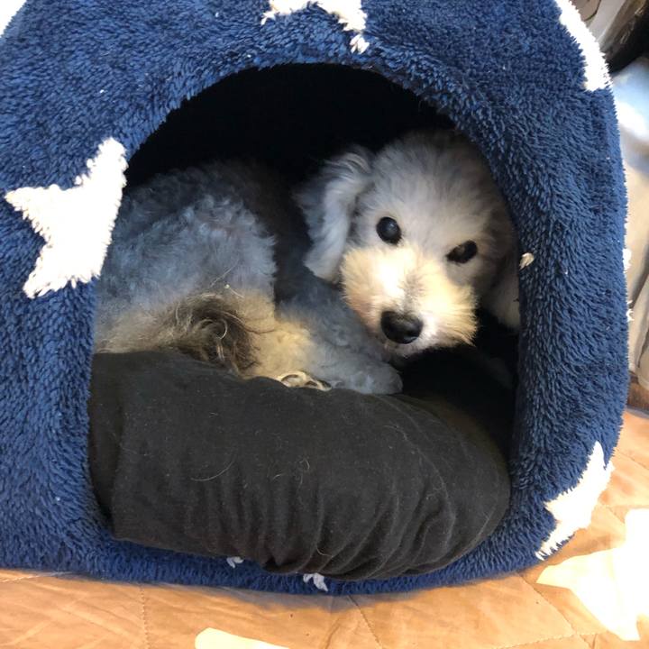 Cf16039d a23c 4d32 9af6 8f194b0abb67 1633657067388