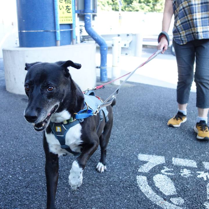 Cf161095 6e26 4dc6 ba40 b5e02ba0f3f8 1725496008460