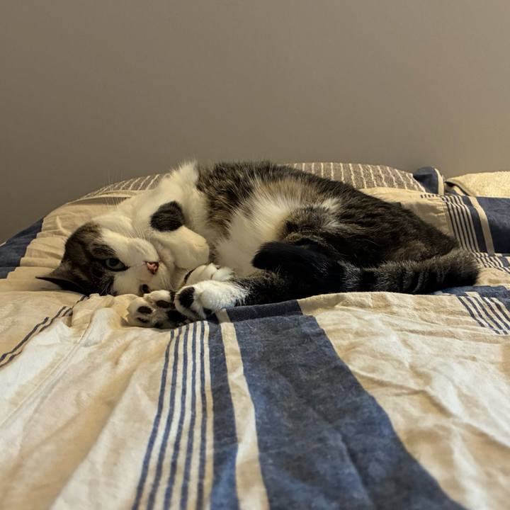 Cf1661eb 40bf 4645 93cc 61006bbb70ea 1754988464782