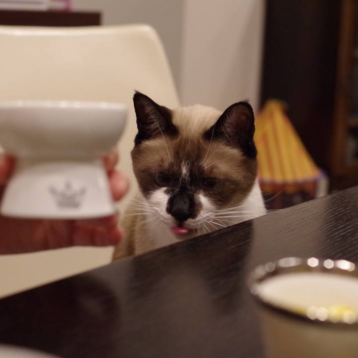 Cf16cb17 dc11 4325 bcf7 276d19cdc742 1544674381948