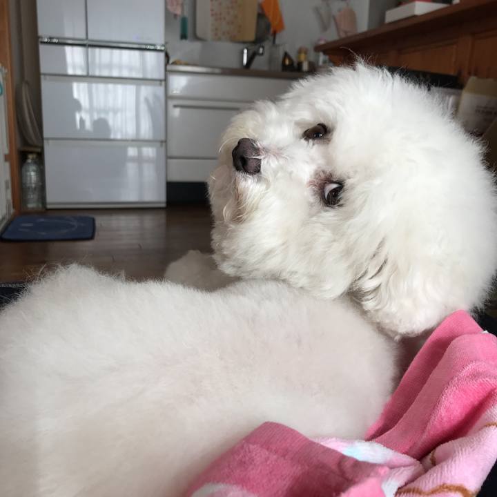 Cf170106 c14e 4674 ba67 492e4922c4c7 1543538121724