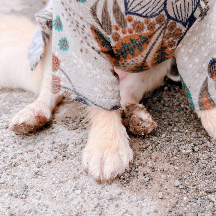 Cf17107b 9efa 482a bd8d 53e45482aec0 1655292382284