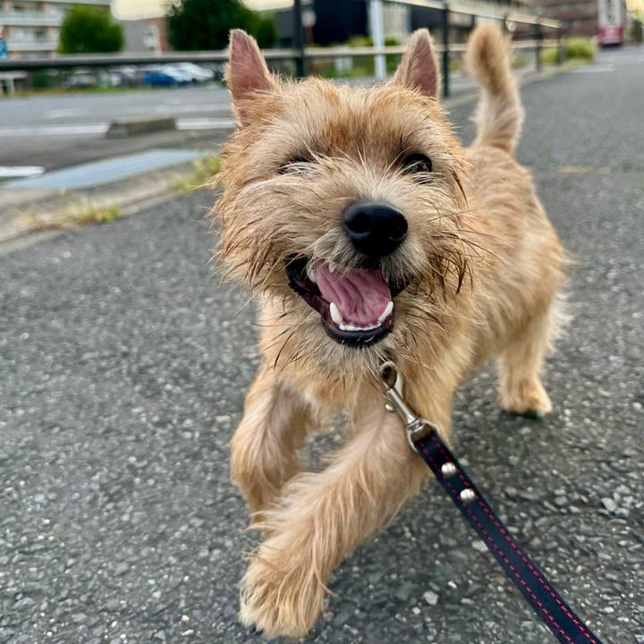 Cf172508 9f9d 4fbb 8305 f9a2703170fe 1724899997530