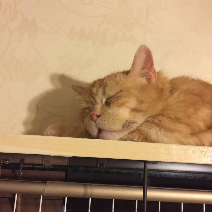 Cf174529 85e4 4ba8 9389 3d5645f4fb57 1567350886830