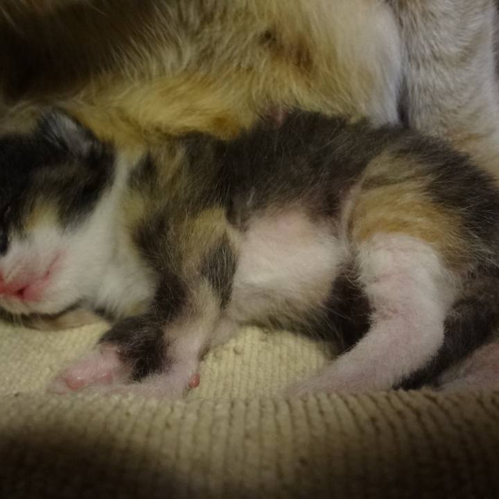 Cf17454b 211d 491d 91a1 c6bcc276f8f5 1574864990911