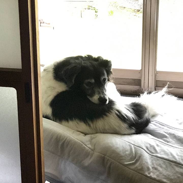 Cf175f31 a1c9 4ba4 868a 9fb8dbb7f9dd 1536844167567