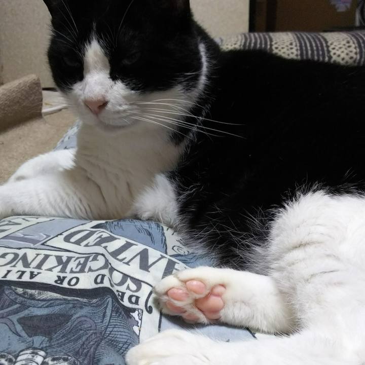 Cf1791d6 a229 4035 910c 7b2ebc0cac19 1529326506558