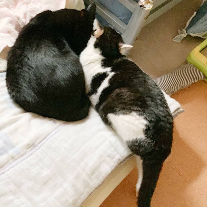 Cf17970b 38b8 477c a81c 9fdca15f2b78 1540174783971