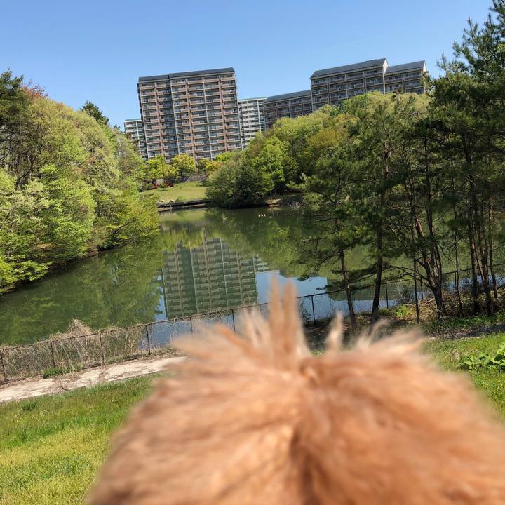 Cf17bcba b062 42fd 910d c71e00ebfd19 1557022705992