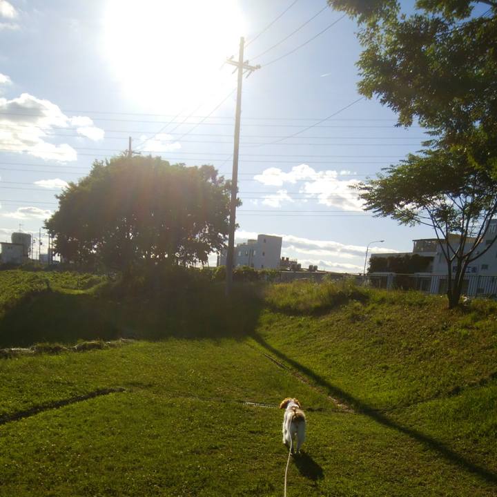 Cf17cab0 2abf 4f74 bfe4 7f26ca45706c 1528889411726