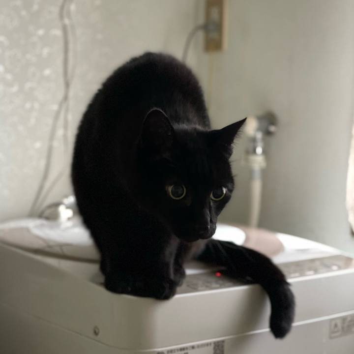 Cf17f2af 8fd0 40c3 b3cc ed0e142964a9 1647742776881