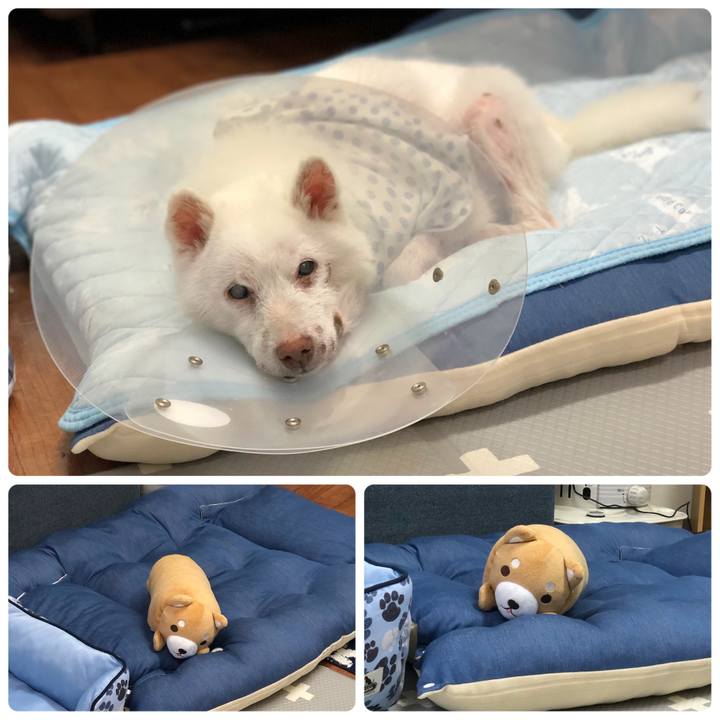 Cf182b41 649d 4317 be5e 4f9d7ed115ad 1664617357571