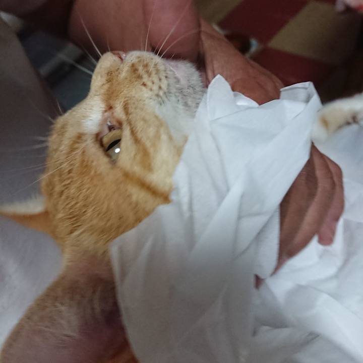 Cf185190 e253 4acb aff5 c2f5ddaa98cd 1593299056871