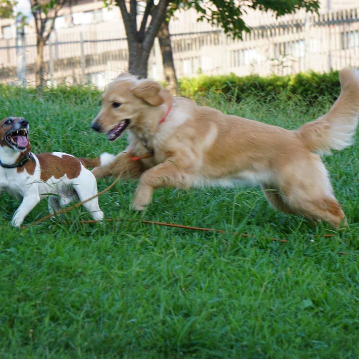 Cf187934 117e 42f4 ad0c 2ab681a3ee6d 1601939694593