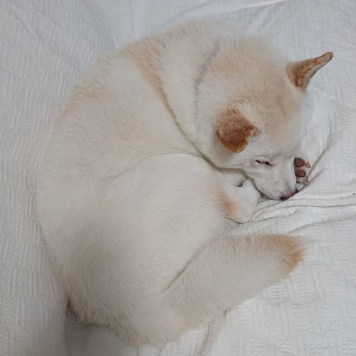 Cf18803f 2ad4 495c 8823 d46f454cf9db 1585319813148