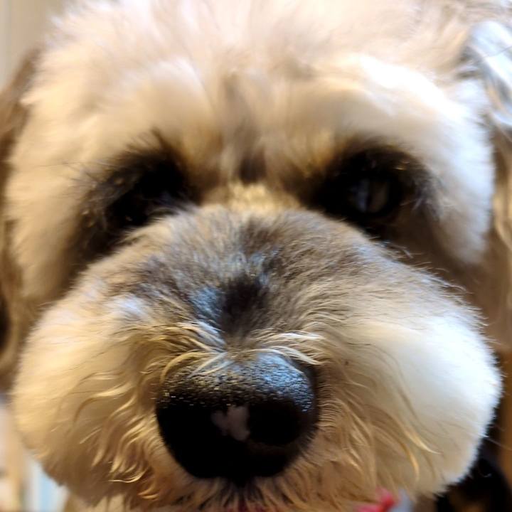 Cf1884a5 ba63 41f4 8dd0 d0e22ae1e1ee 1751902419209