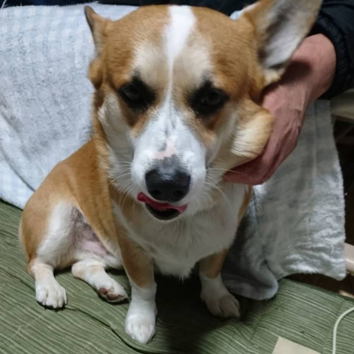 Cf18a906 4e1b 4a8e 8702 740c9317e6e1 1611033222461