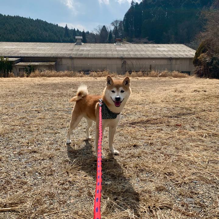 Cf18c182 4ceb 4df0 8aa9 6e30150285c2 1646649270550