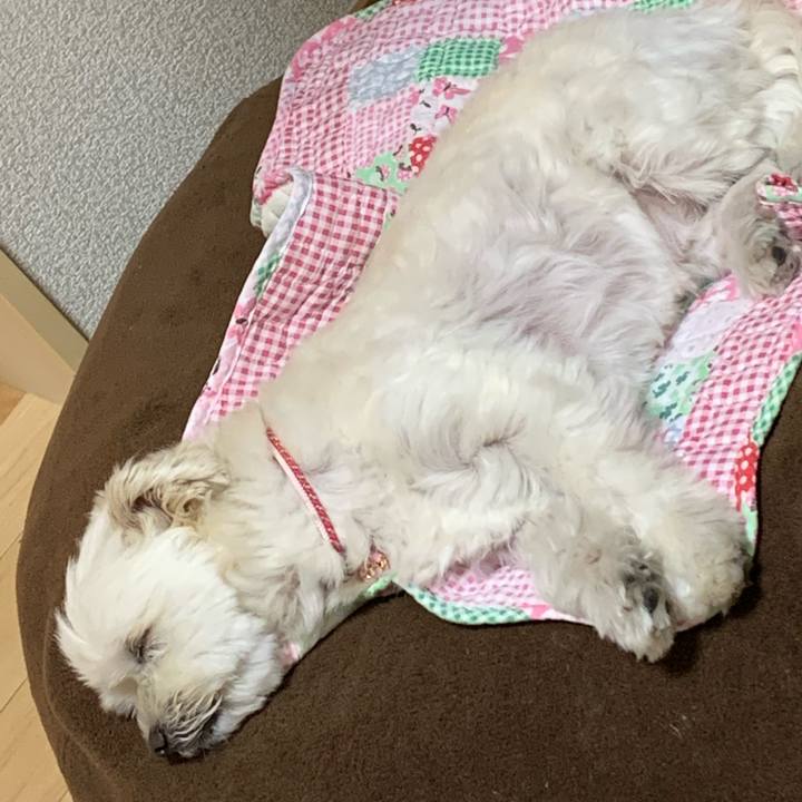 Cf18c298 8e46 4a12 952c 7b375698f5da 1586606317017