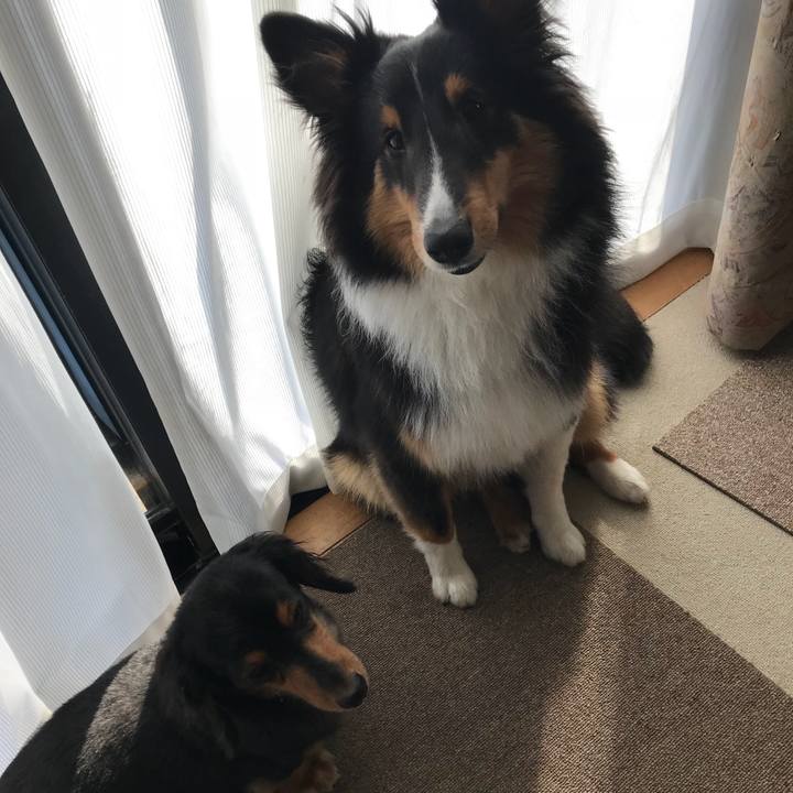 Cf18c830 e7db 4f55 acdb ee8346b5aa1e 1526422088769