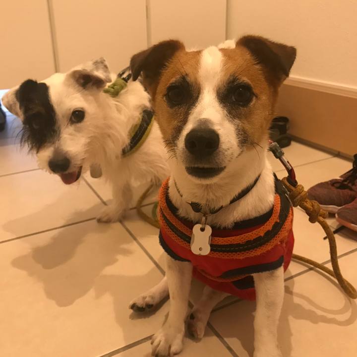 Cf18cbe0 bc55 4827 8cf6 3e6a1c364b26 1531386976897