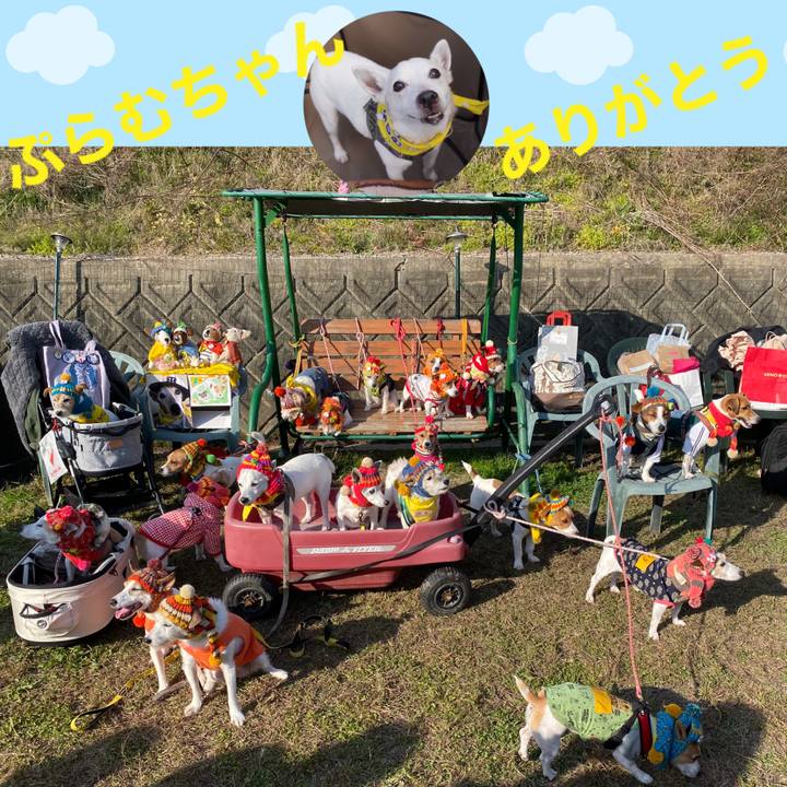 Cf18cdef 920f 4470 8eaf ddb75f177b2a 1621293155697