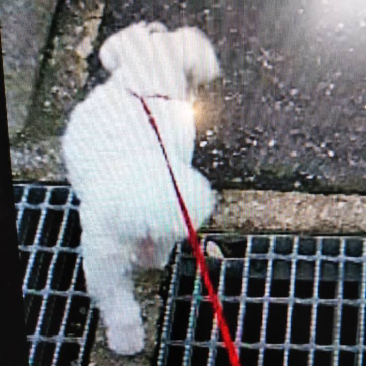 Cf18ed84 e56d 47ce 803e 2a476a5402d6 1558365310028