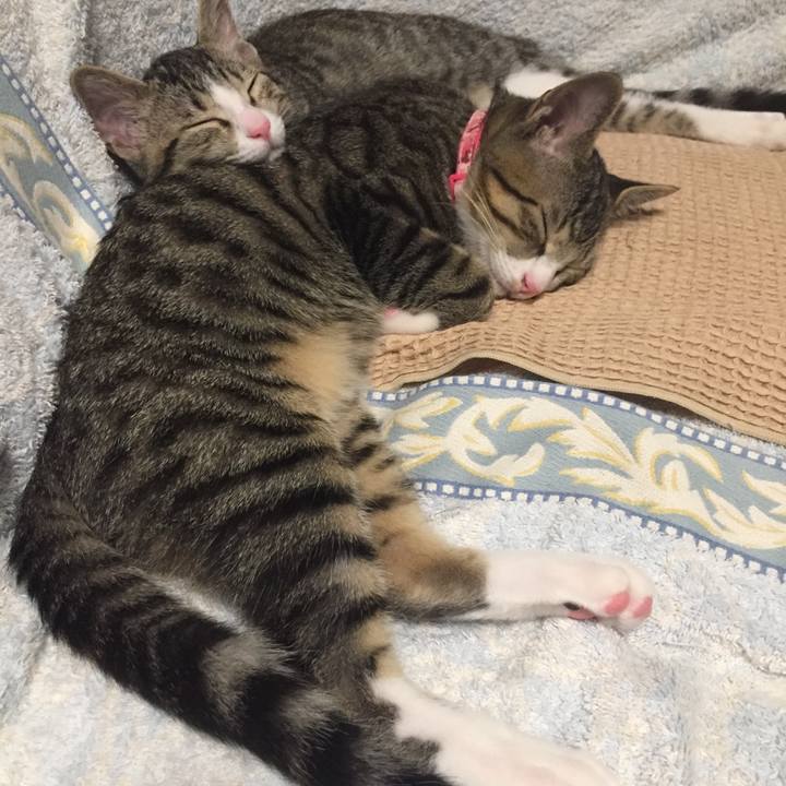 Cf1929ce 1297 4316 b1b2 da7cf9ce09cc 1657211654485