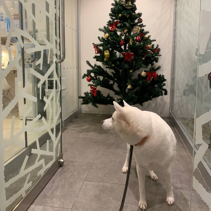 Cf199092 a1fa 4ff8 b915 72eb1c42f04d 1544958441263