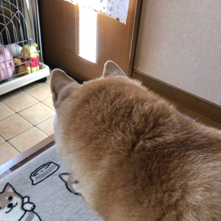 Cf19a260 b1f3 45eb 8666 ef3ef124cc44 1603540089930