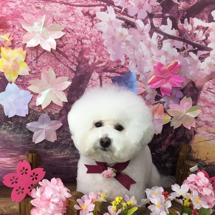 Cf19cab4 3faf 493e 8086 b8cdc55be130 1554351315228