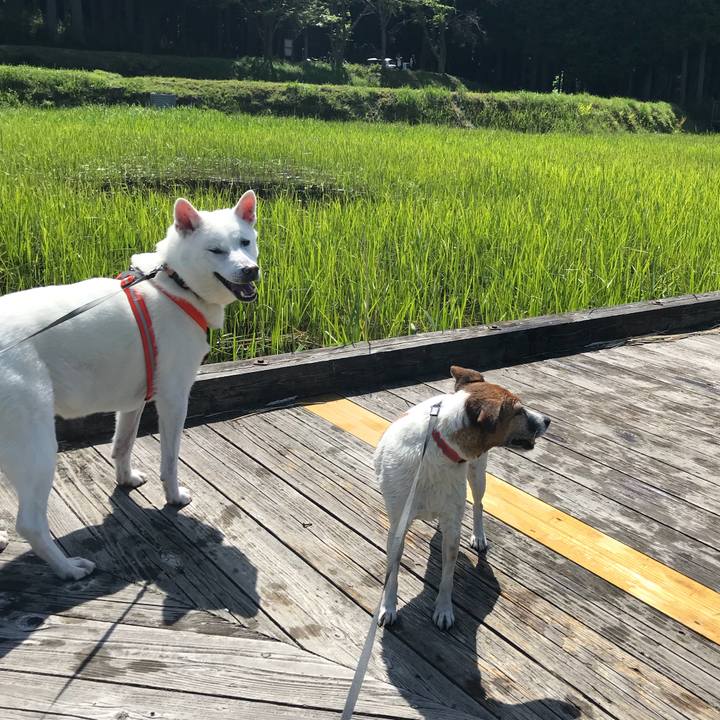 Cf19cfdf 471a 4d2e 8c4b 261c4c8b10fd 1525514731311