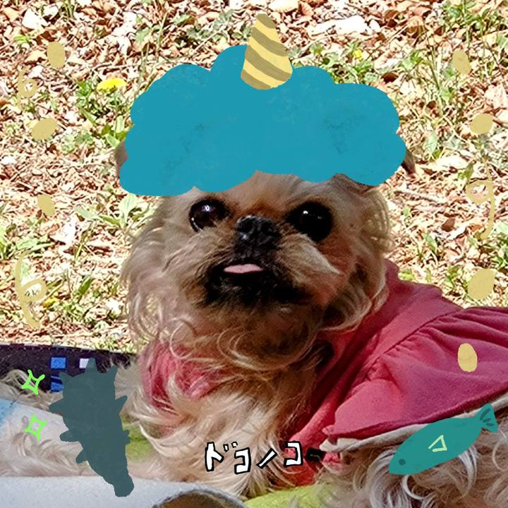 Cf19d80f 8793 47d6 af2b 2bb7f414dac5 1706939032199