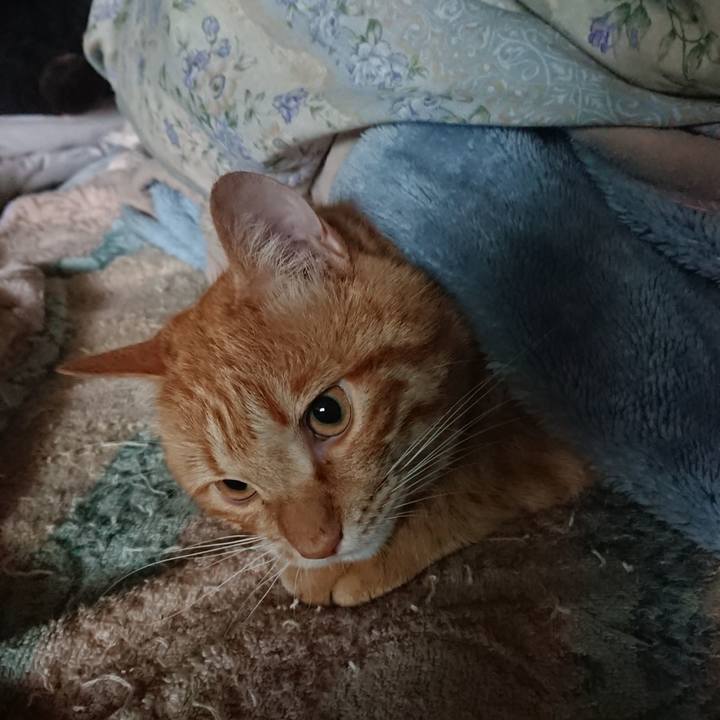 Cf19e942 8cd4 4d55 844b 0e8cb4ac438b 1655503274076