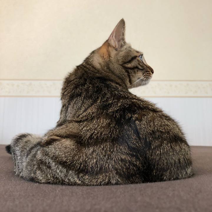 Cf19fb5f bba1 42d9 b686 417b776dfc32 1522056879792