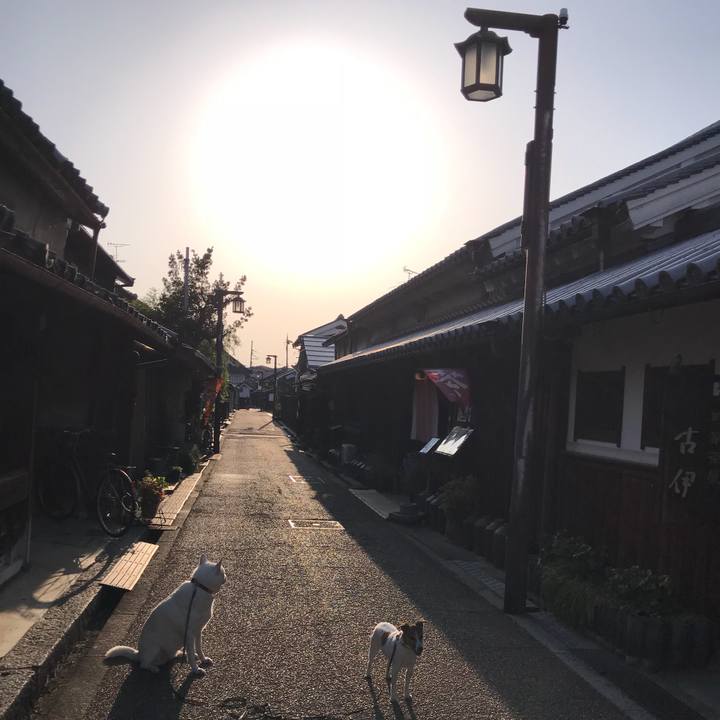 Cf1a09c8 b3ff 4b6a 8f85 6065d05fe6df 1525012884658