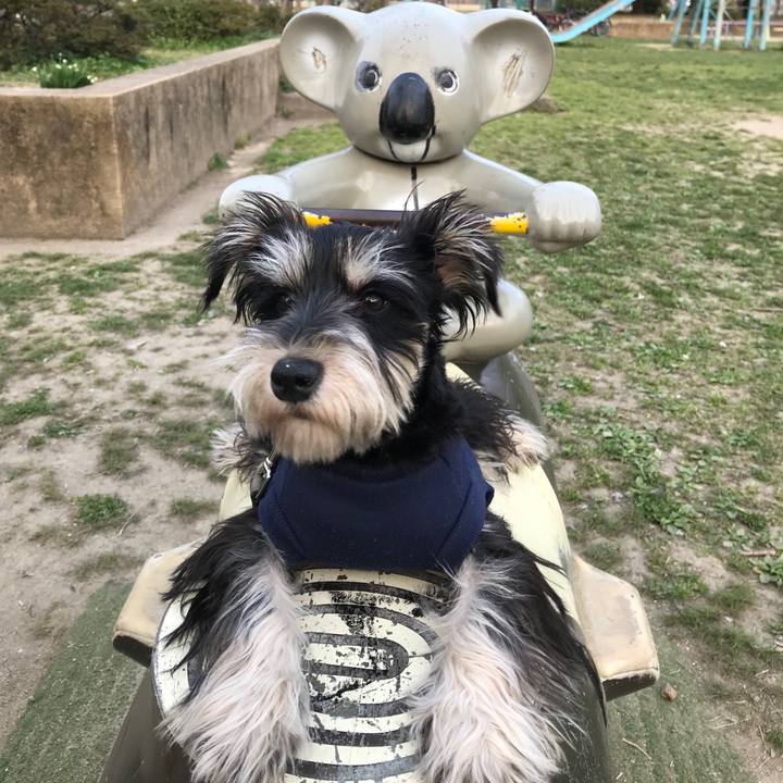 Cf1a496c 2428 4474 b466 d3a6298c58ee 1554632881871