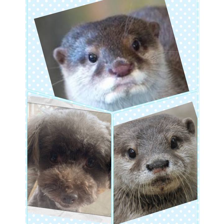 Cf1a4d0f 429f 4564 91d1 c51a74b1eb0e 1567835398687