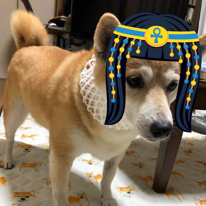 Cf1a755c 70b0 4f84 a333 538d8a270e99 1566425911822