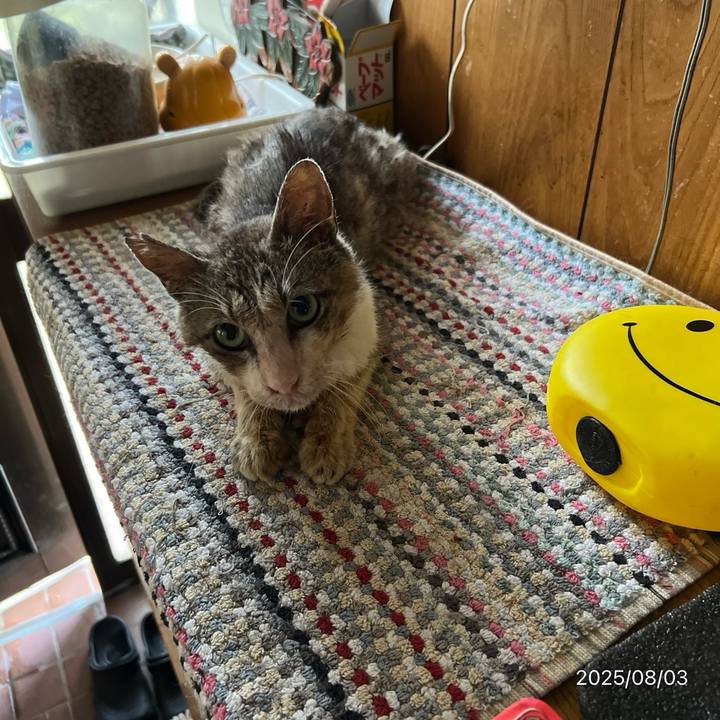 Cf1a8624 409f 4153 a30e ec030c0acd23 1754195166492