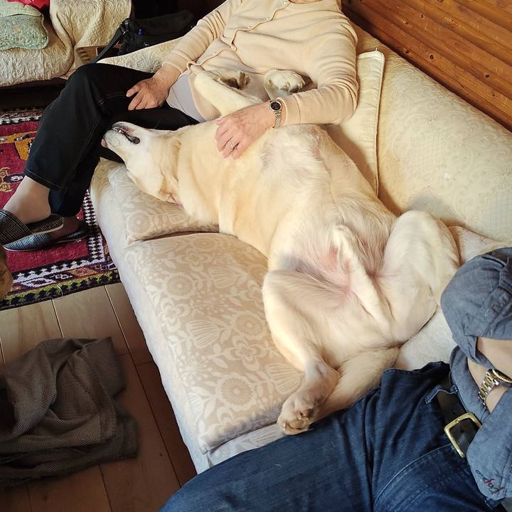 Cf1a8996 d973 47c6 a998 9ac732a10f31 1774082353888