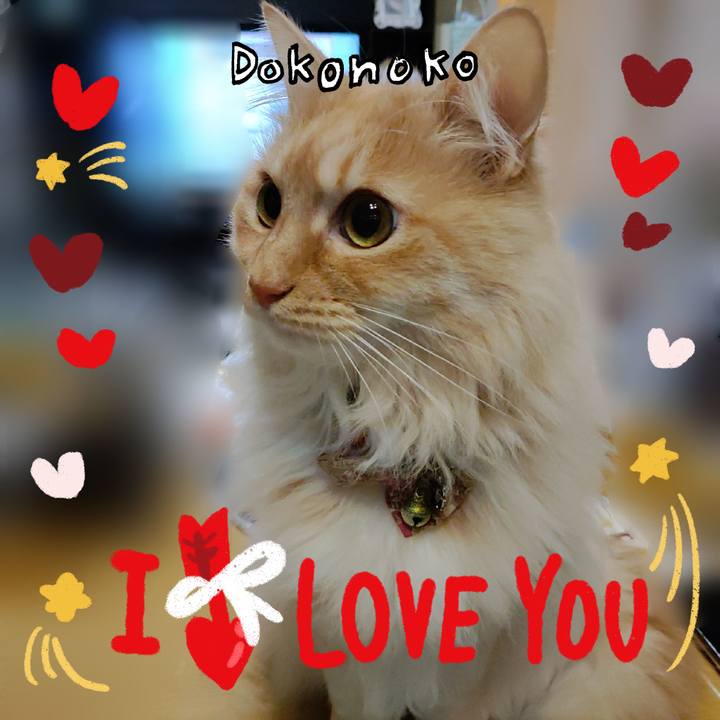 Cf1aaa45 d6c8 49d6 8e93 9e59073d54f8 1707256822568