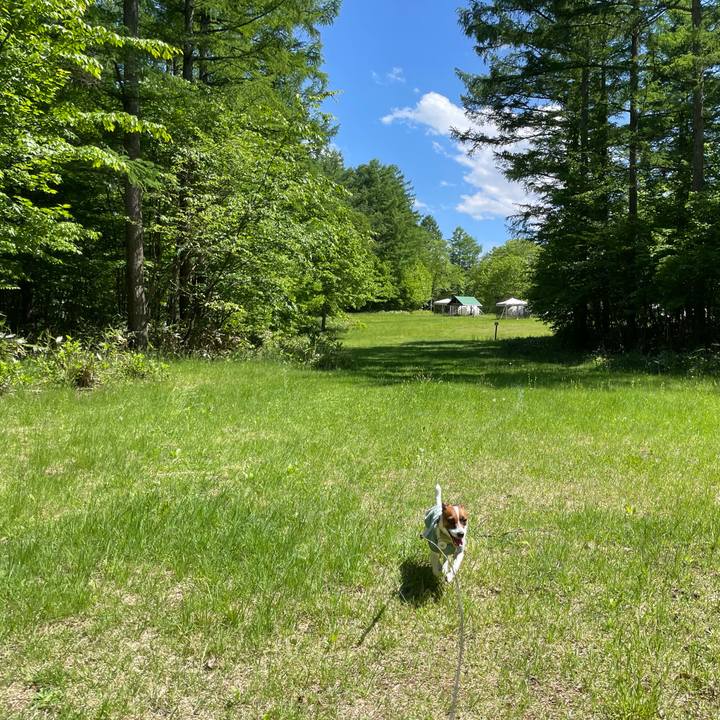 Cf1ab802 1eaa 4205 a057 032ab959823d 1653726034278