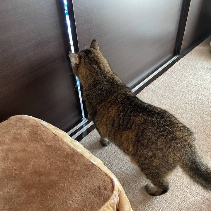 Cf1b06ea 01e0 4e9f bad4 e5e2b07465c5 1729308622466